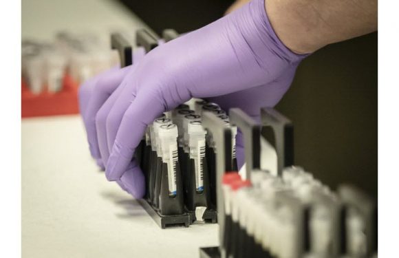 Santé Vaccin contre le coronavirus : les pistes les plus prometteuses