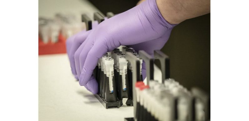 Santé Vaccin contre le coronavirus : les pistes les plus prometteuses
