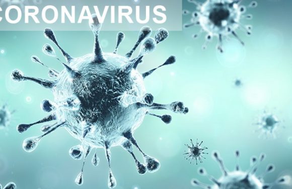 Quelques informations sur le coronavirus