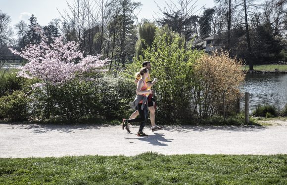 Interdit de se déplacer à 10 mètres de chez soi, pas plus de deux minutes sur un banc : ces maires qui décrètent leurs propres règles anti-sorties