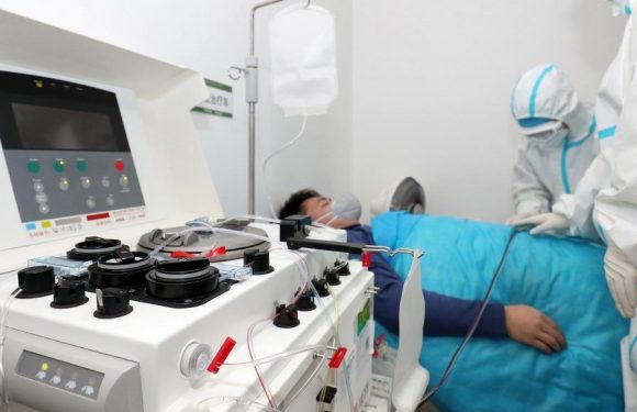 Du plasma de patients guéris pour traiter les malades du Covid-19 : un essai clinique commence lundi