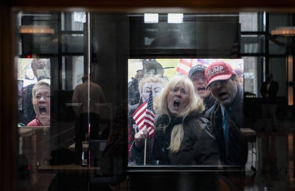 Coronavirus : Les manifestations anti-confinement se multiplient aux Etats-Unis, Trump semble les encourager
