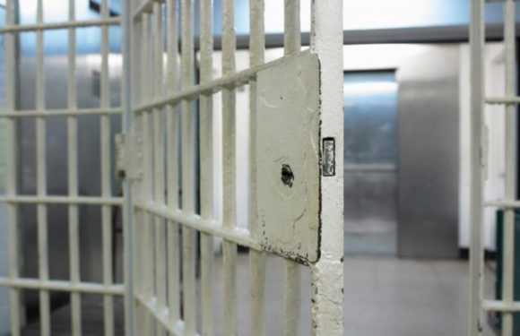 Montauban : libérés de prison grâce au coronavirus, deux migrants y retournent après une course-poursuite en voiture volée et un cambriolage