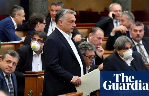 Hungary prepares to end legal recognition of trans people