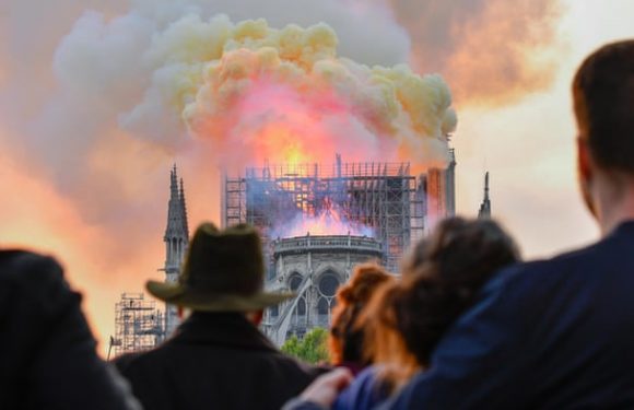 Notre-Dame review – an engrossing history of ‘the soul of France’
