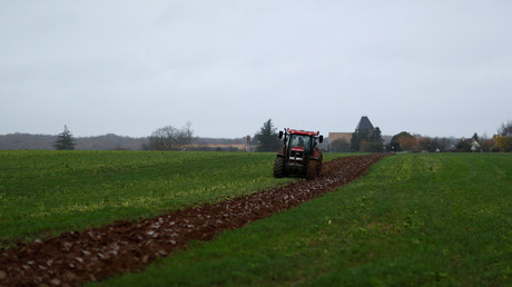 En Allemagne, les étudiants se mobilisent pour aider les agriculteurs à récolter