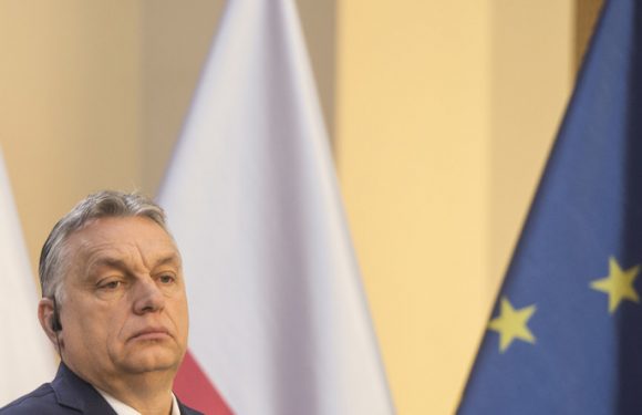 Viktor Orban ne veut pas débattre avec la «bulle bruxelloise»