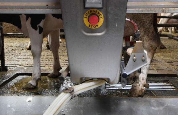 L’Etat supprime les aides au maintien de l’agriculture bio