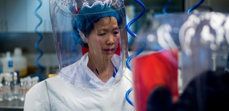 Le laboratoire P4 de Wuhan : une histoire française