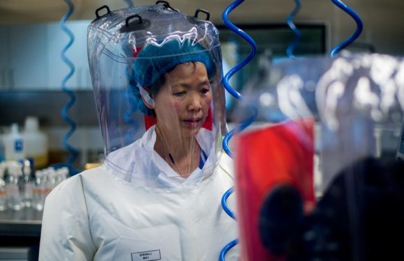 Le laboratoire P4 de Wuhan : une histoire française