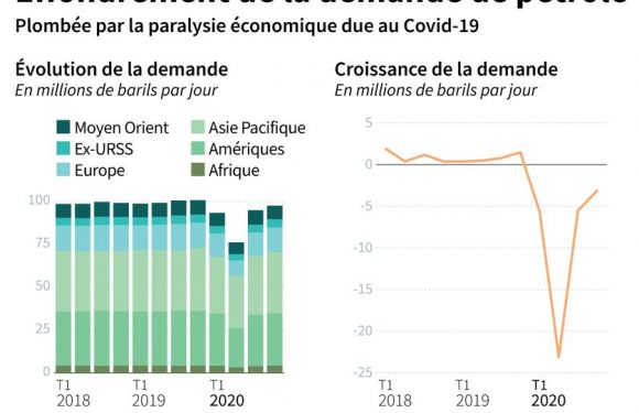 Francis Perrin : « La crise pétrolière que nous vivons actuellement est unique ! »