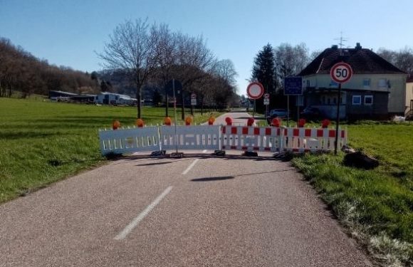 Coronavirus : l’Allemagne condamne des actes anti-français dans les zones frontalières