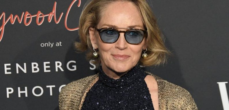 Coronavirus : Sharon Stone remercie avec émotion la Croix-Rouge italienne