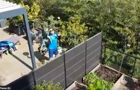 Coronavirus à Montpellier : Confinés, un prof de tennis et son voisin s’affrontent par-dessus le mur de leurs terrasses