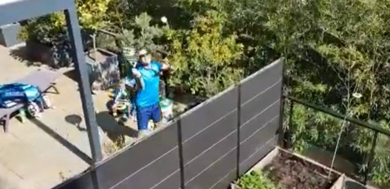 Coronavirus à Montpellier : Confinés, un prof de tennis et son voisin s’affrontent par-dessus le mur de leurs terrasses