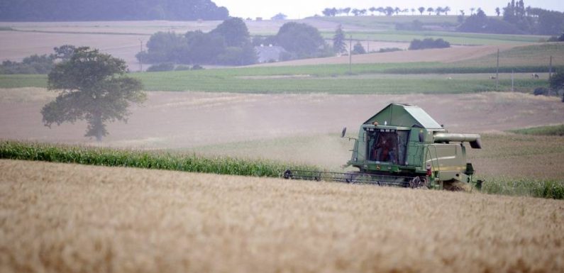 Coronavirus : En Seine-et-Marne, des réfugiés appelés à aider les agriculteurs en manque de main d’oeuvre