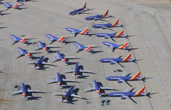 Coronavirus : L’homologation du Boeing 737 MAX repoussée à mai à cause de la pandémie