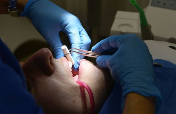 Coronavirus : Les dentistes vont-ils rouvrir le 11 mai ?