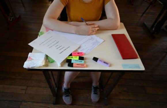 Coronavirus : « Le bac 2020 ne sera pas un diplôme au rabais », estime l’historien de l’éducation, Bruno Poucet