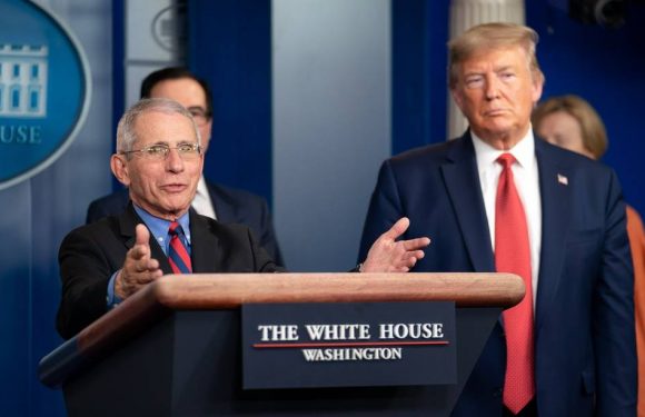 VIDEO. Coronavirus : Corriger Trump sans le braquer, le difficile exercice d’équilibriste du Dr Fauci