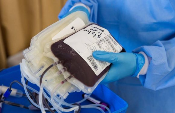 Coronavirus : Le plasma thérapeutique, une piste prometteuse pour les patients atteints du Covid-19