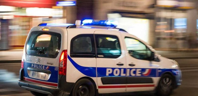 Toulouse : Une vidéo montrant des policiers frapper un homme avec une muselière crée la polémique