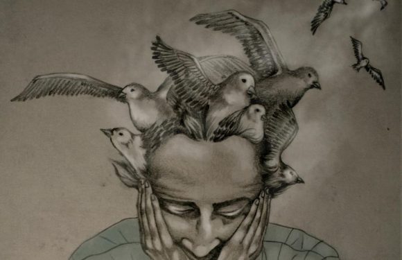 Parkinson, AVC et démences : 1 femme sur 2 et 1 homme sur 3 sont à risque