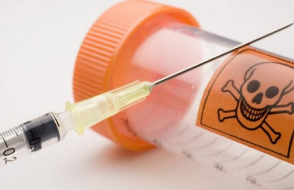 Soins palliatifs et analgésiques
