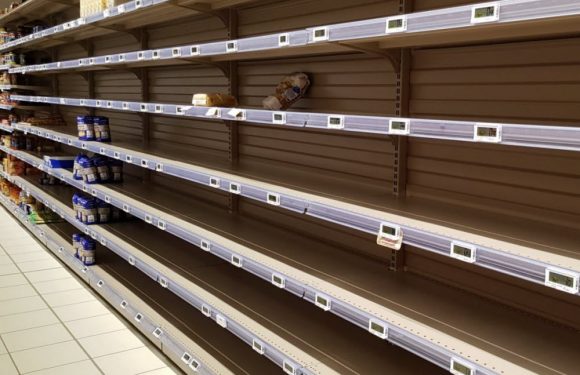 Risque de “pénurie alimentaire mondiale” : l’ONU et l’OMC tirent la sonnette d’alarme