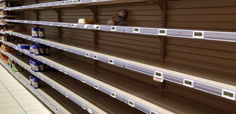Risque de “pénurie alimentaire mondiale” : l’ONU et l’OMC tirent la sonnette d’alarme