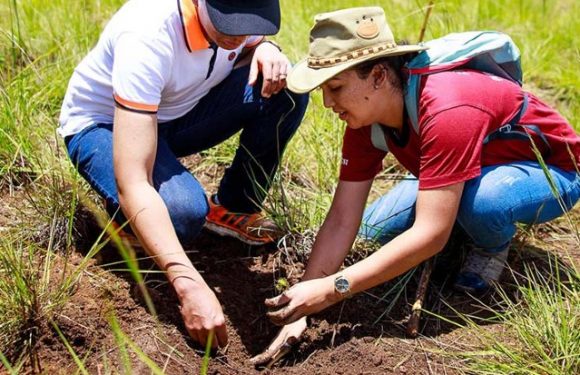 [Certifié sans Coronavirus] Madagascar fête son indépendance en plantant 60 millions d’arbres