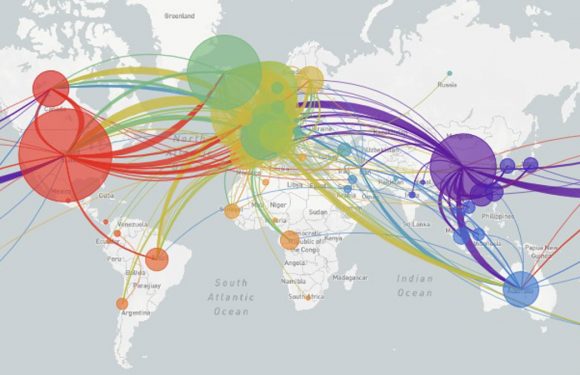 8 souches du coronavirus circulent autour du globe