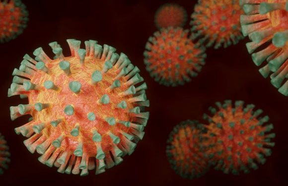 Survivre au Covid-19 : une approche par le biais de la tolérance à la maladie