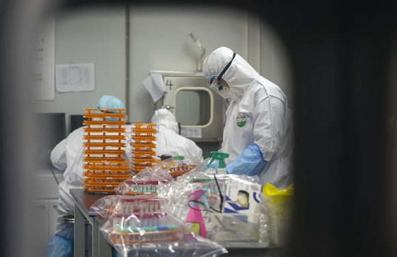 La Chine aurait détruit les preuves de l’apparition du coronavirus (rapport)