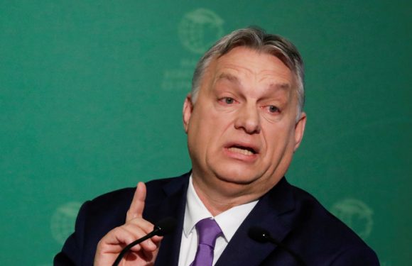 Pour la Commission européenne, la Hongrie doit revenir dans le club des vraies démocraties
