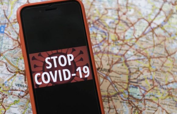 Coronavirus : L’application StopCovid pourrait être disponible dès ce week-end