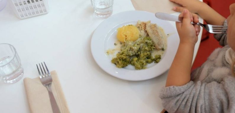 Déconfinement à Montpellier : Les cantines sont gratuites jusqu’à la fin de l’année scolaire
