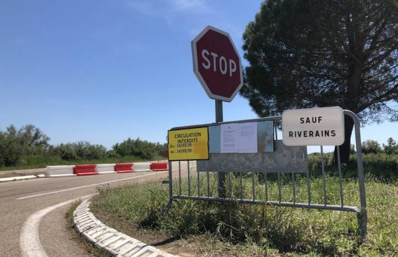 Coronavirus : L’interdiction de se rendre en pèlerinage aux Saintes-Maries, « un crève-cœur » pour les Gitans