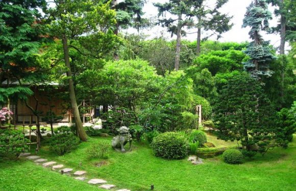 Le gouvernement poursuivi en justice pour obtenir l’ouverture des parcs et jardins