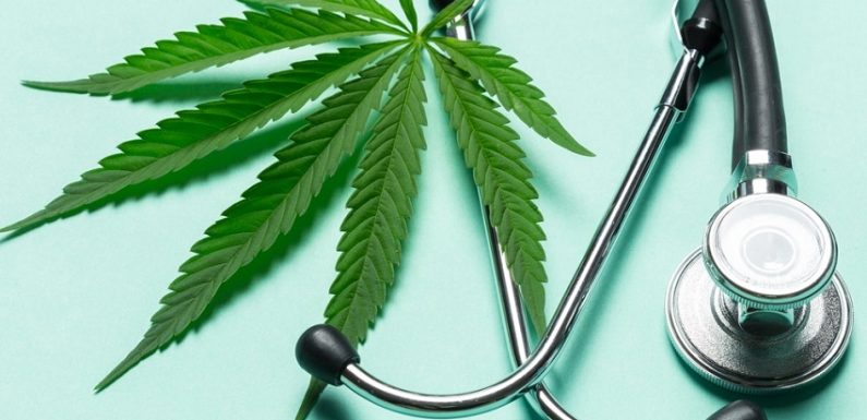 Cannabis thérapeutique en France : la première expérimentation dès septembre