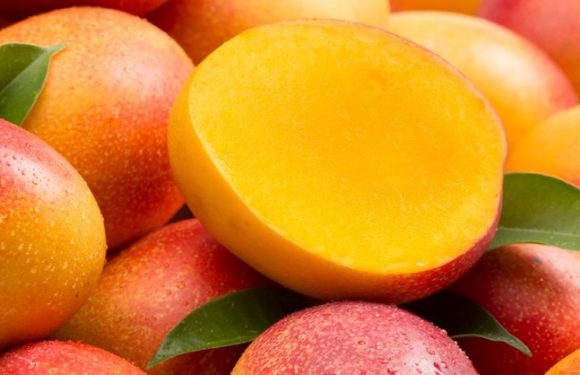 Alimentation : 5 vertus uniques de la mange