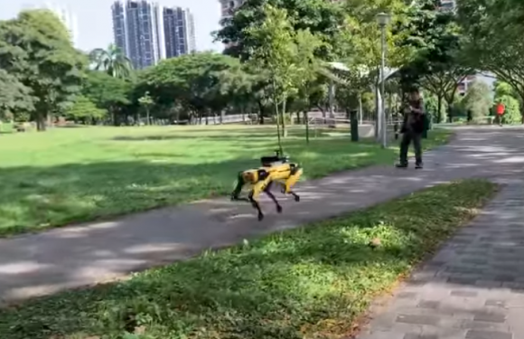Spot, le chien robot qui dresse l’humain