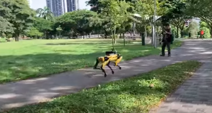 Spot, le chien robot qui dresse l’humain