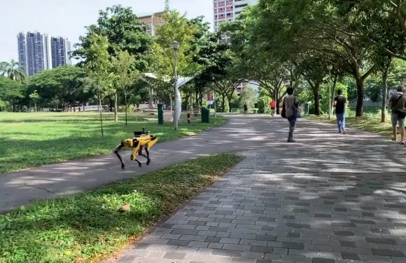 Coronavirus : un chien robot de Boston Dynamics patrouille à Singapour