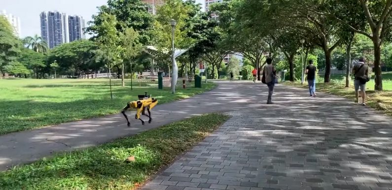 Coronavirus : un chien robot de Boston Dynamics patrouille à Singapour