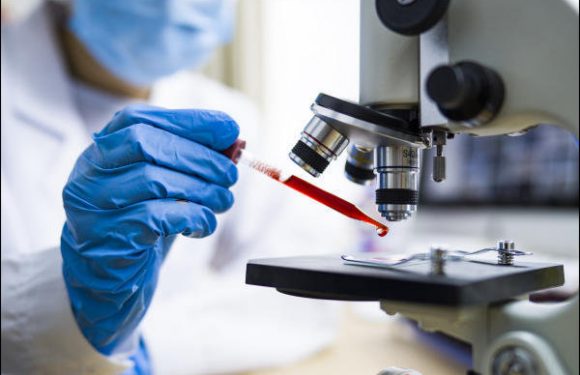 Un vaccin américain semble fonctionner