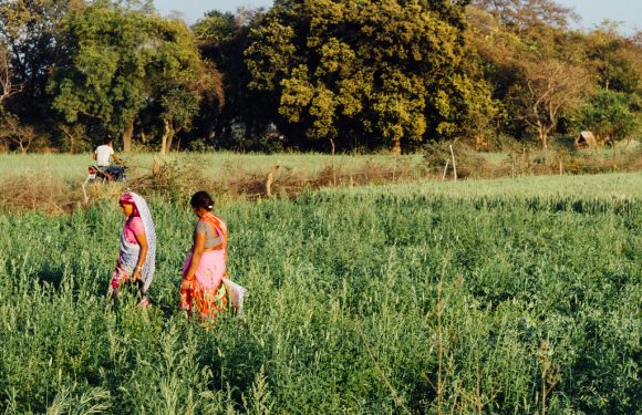 Covid-19 : Des crises alimentaires aggravées par la pandémie