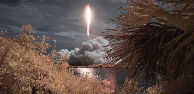 Trois infos sans virus : SpaceX arrivée à destination, un procès pour Morandini, horreur en Algérie