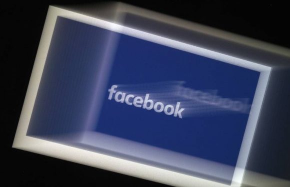 Facebook supprime deux groupes suprémacistes blancs de ses réseaux sociaux