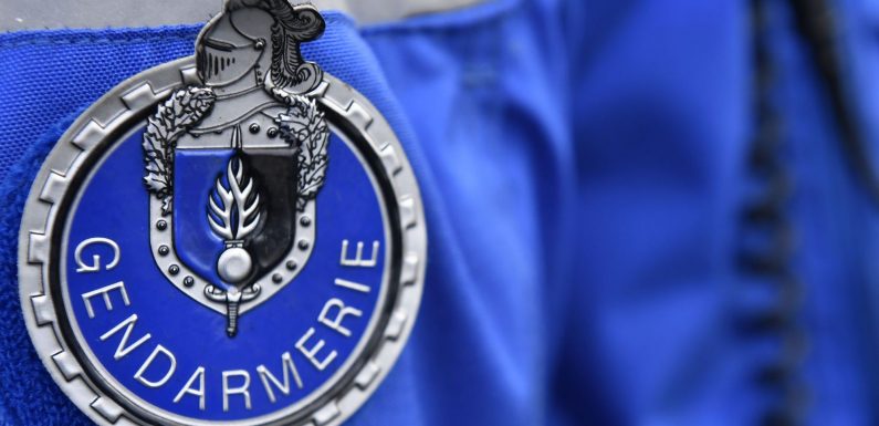 L’Inspection générale de la gendarmerie saisie de 100 nouvelles enquêtes en 2019